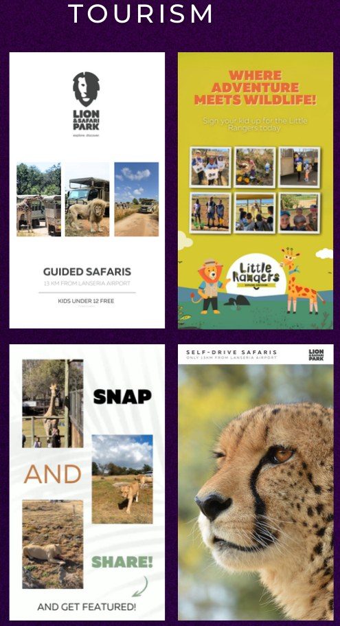 Tourism and safari campaign creative